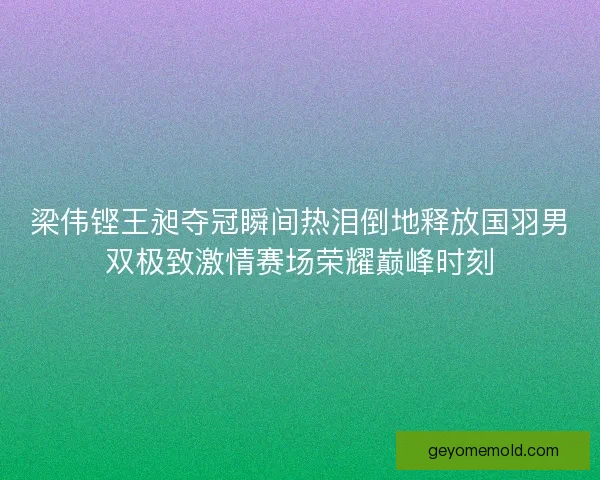 梁伟铿王昶夺冠瞬间热泪倒地释放国羽男双极致激情赛场荣耀巅峰时刻