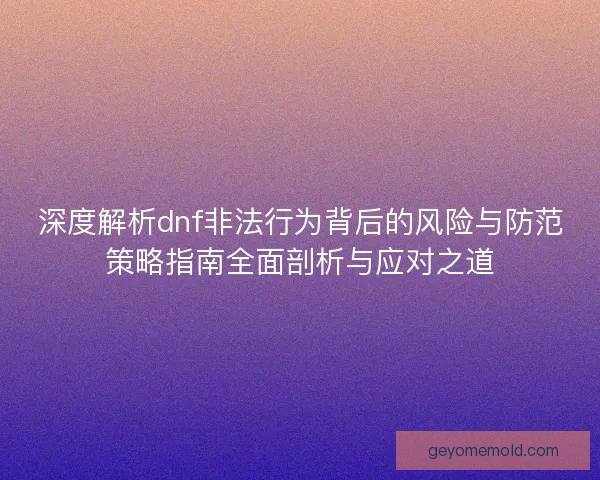 深度解析dnf非法行为背后的风险与防范策略指南全面剖析与应对之道