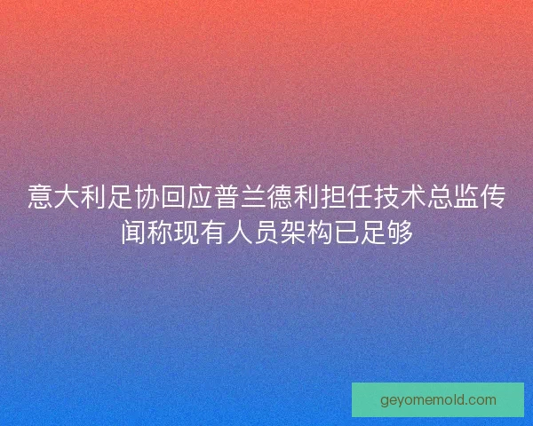 意大利足协回应普兰德利担任技术总监传闻称现有人员架构已足够